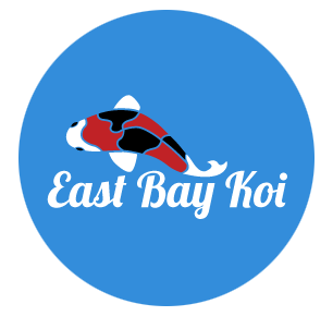 pond fish supplier oakland East Bay Koi