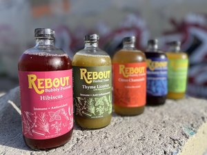 Rebout Herbal elixirs Taste all 6 flavors of our nutrient-dense functional teas