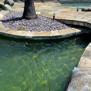 pond contractor oceanside San Diego Pond Solutions