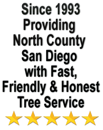 tree service oceanside American Arbor Tree Service