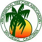 tree service oceanside Arbor Age Tree Services