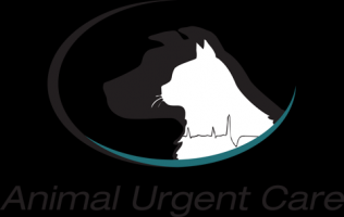 emergency veterinarian service oceanside Animal Urgent Care