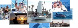 whale watching tour agency oceanside Pacific Marine Charters