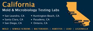 asbestos testing service ontario LA Testing