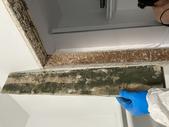 asbestos testing service ontario Mold Inspection & Mold Testing Corona Ca
