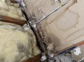 asbestos testing service ontario Mold Inspection & Mold Testing Corona Ca