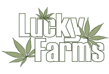 cannabis store ontario Lucky Farms