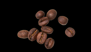 coffee roasters ontario Klatch Coffee Roastery & Training Lab (Offices)