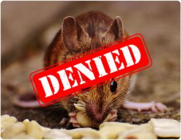 pest control service ontario Rodents Stop - Ontario