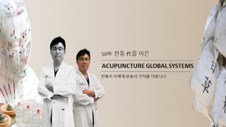 acupuncture clinic ontario Acupuncture Global Systems (한의원 더백초)