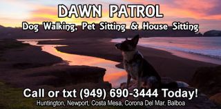pet sitter orange Dawn's Dog Walking & Pet Sitting