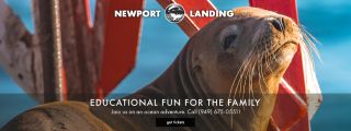 scuba tour agency orange Newport Landing Whale Watching