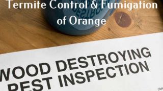 pest control service orange Termite Control & Fumigation of Orange