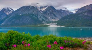 With all of the award winning cruise lines at our fingertips, we can help you create your ideal Alaska cruise vacation.