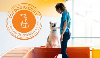 dog day care center orange Dogtopia of Anaheim Hills