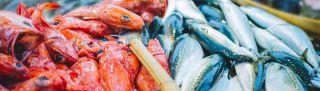 fish processing orange Dory Fishing Fleet and Market