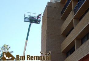 Guano Cleanouts - Serving all of California
