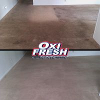 carpet cleaning service orange Oxi Fresh Carpet Cleaning