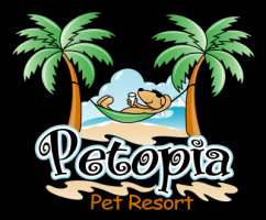 kennel orange Petopia Pet Resort