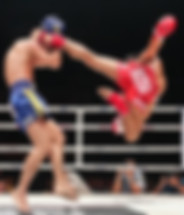 boxing ring orange Carrillo Muay Thai - Thai Boxing - Kick Boxing City of Orange, Santa Ana. Orange County
