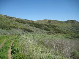 1000+ acre ranch nestled in a quiet coastal valley north of Los Angeles County between Camarillo and Thousand Oaks in Ventura County with miles of trails on the ranch and in adjacent Open Space.
