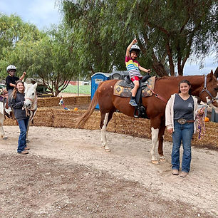 pony ride service oxnard Gabi’s Barnyard Adventures