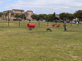 dog park oxnard Windrow Off-leash Dog Park