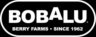 pick your own farm produce oxnard Bobalu Berries