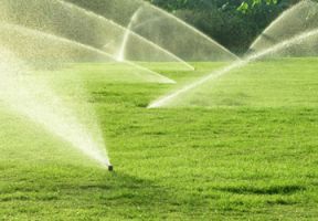 Irrigation and Lawn Garden Needs
