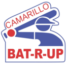 batting cage center oxnard Camarillo Bat-R Up