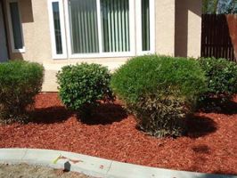 lawn sprinkler system contractor palmdale Landscape By Paul