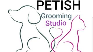 pet groomer palmdale Petish Grooming Studio