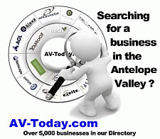 Business and Information Directory
