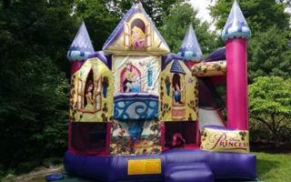 bouncy castle hire palmdale Karina's Jumpers Party Rentals