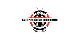 bird control service palmdale NATES PEST CONTROL INCORPORATED