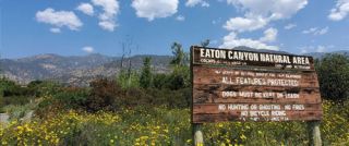 nature preserve pasadena Eaton Canyon Trail Head