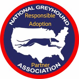 greyhound stadium pasadena FastFriends Greyhound Adoption