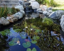 Pond Construction Remodeling and Maintenance