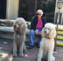 Howard with his Standard Poodles, Pasadena