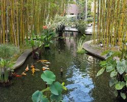 Commercial Pond and Fountain Construction Remodeling and Maintenance