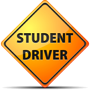 driving school pasadena Viva Driving School, Inc.