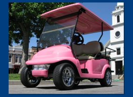 golf cart dealer pasadena ECAR GROUP, INC
