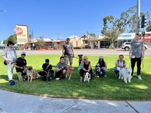 dog trainer pasadena Good Dog K9 Training and Services, LLC