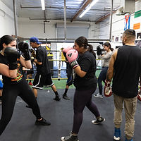 boxing ring pomona Undefeated Boxing Club