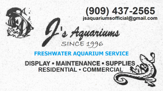 aquarium pomona J's Aquariums
