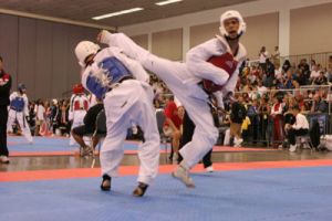 physical fitness program pomona U.S.A. Fit Force Taekwondo