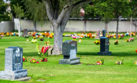 Cemetery Visitation