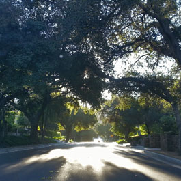 arboretum rancho cucamonga Glendora Arboretum & Botanic Garden