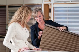 Window Blinds Consultation