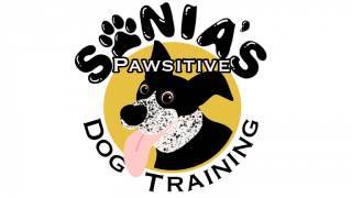 dog trainer rancho cucamonga Sonia's PAWsitive Dog Training